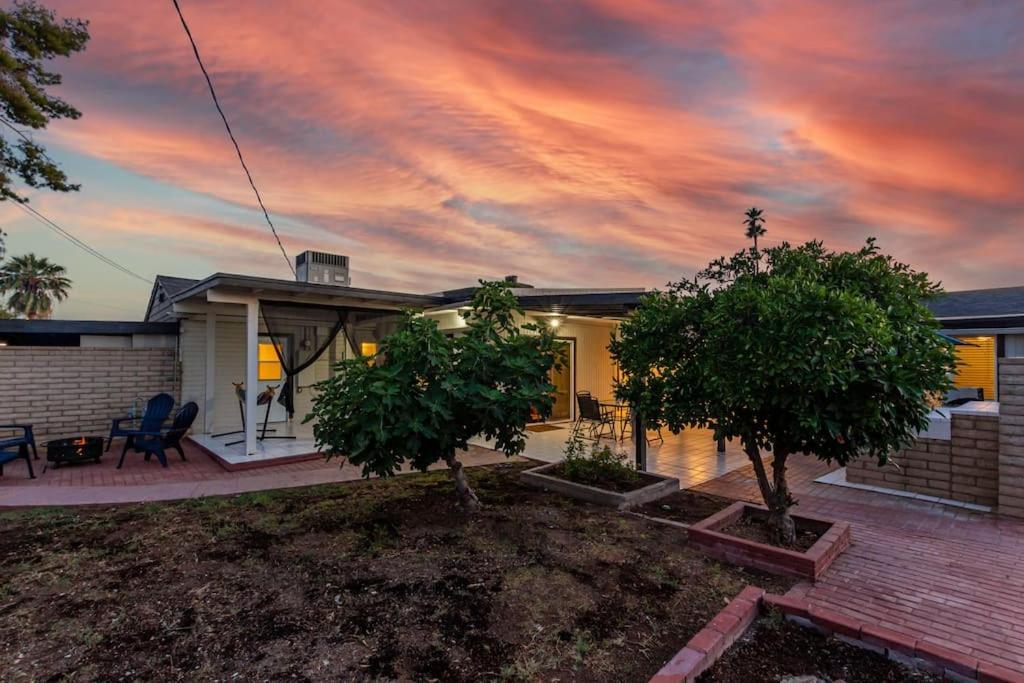 New Midtown Modern Studio With Backyard Phoenix Exteriör bild