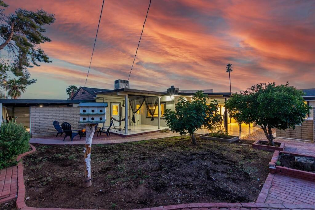 New Midtown Modern Studio With Backyard Phoenix Exteriör bild