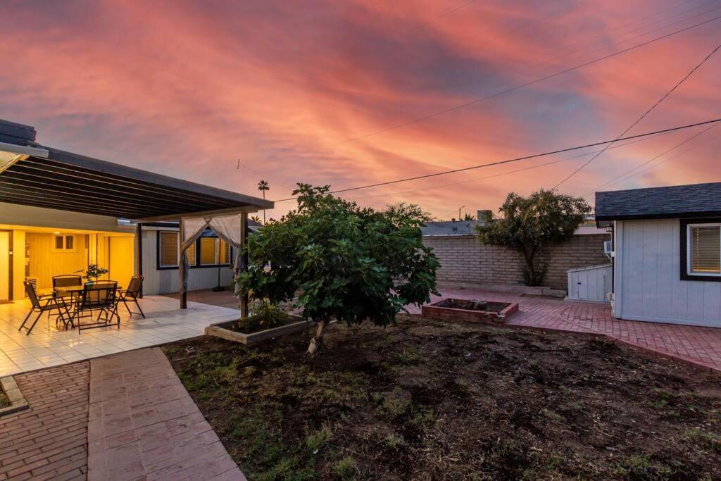 New Midtown Modern Studio With Backyard Phoenix Exteriör bild