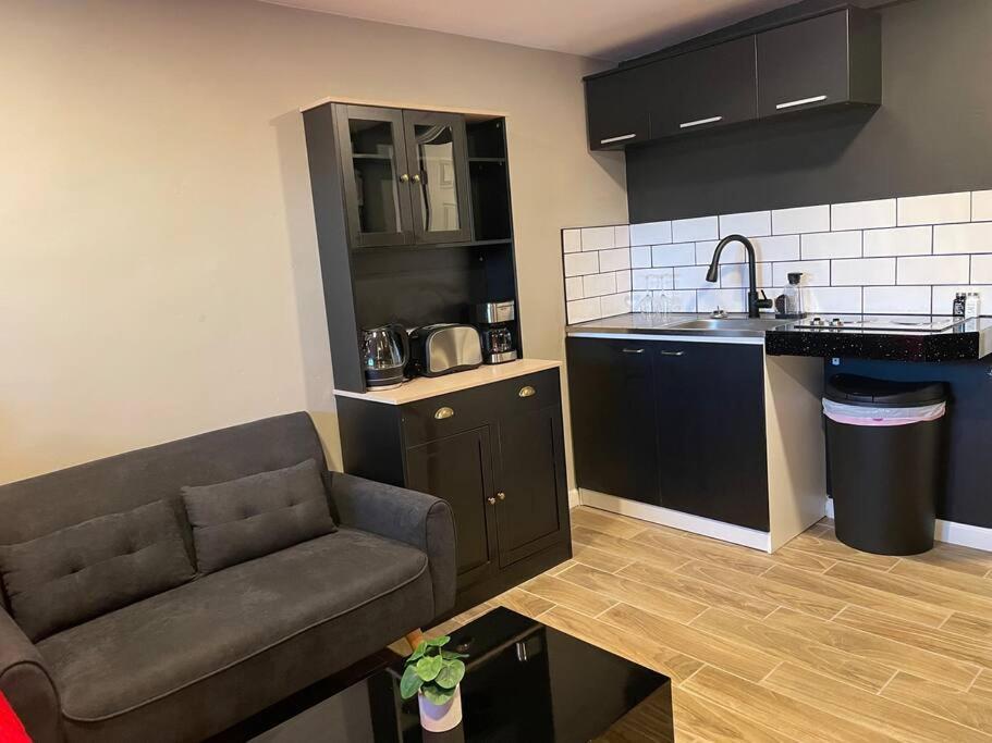 New Midtown Modern Studio With Backyard Phoenix Exteriör bild