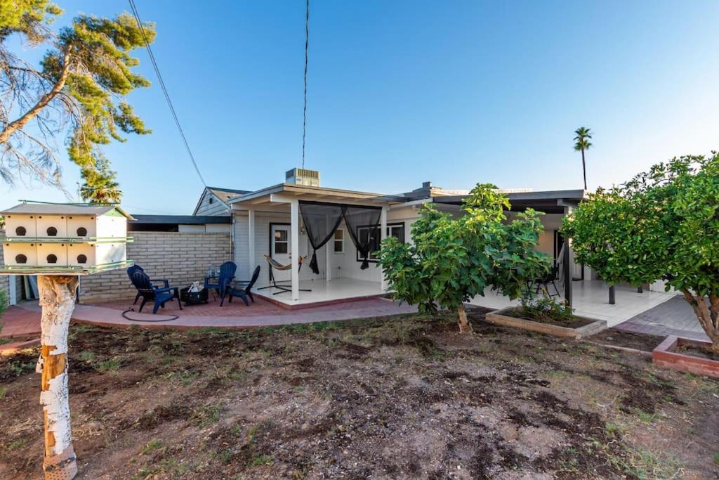 New Midtown Modern Studio With Backyard Phoenix Exteriör bild